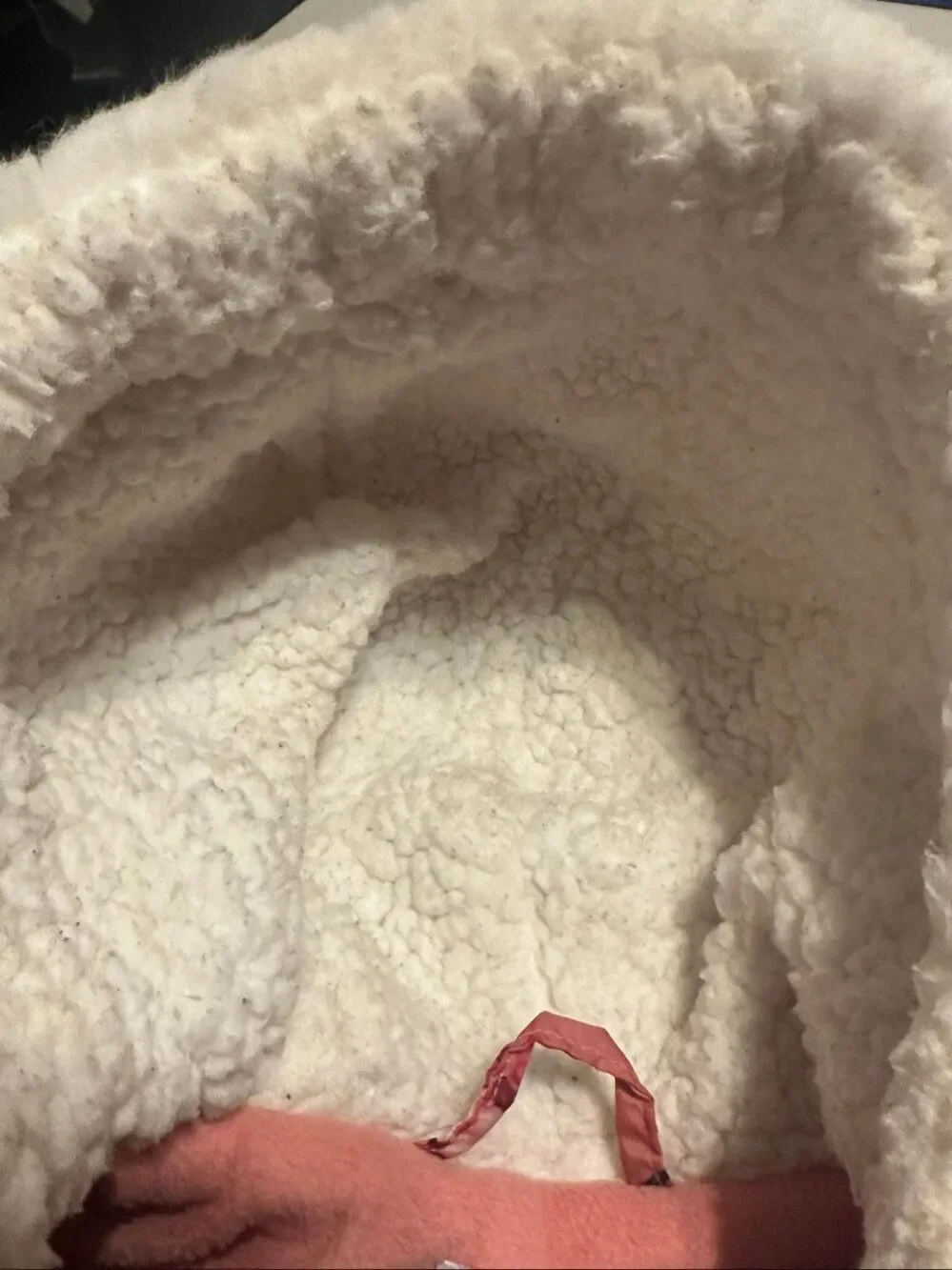 The Children's Place Baby Girl Pink Floral Infant Insulated Snowsuit 0-3 Months